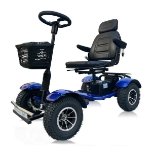 Electric golf buggy