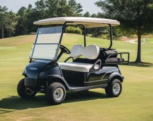 All-terrain golf buggies Golf cart 3