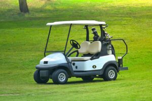 Golf Buggies for Your Course